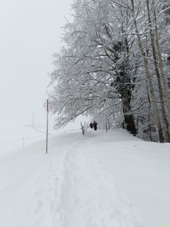 2024-01-09-SAC-Hundwilerhoehe-07