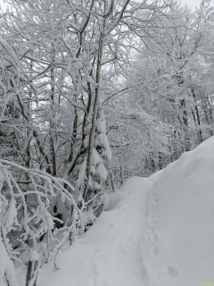 2024-01-09-SAC-Hundwilerhoehe-25