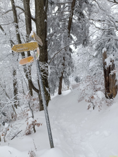2024-01-09-SAC-Hundwilerhoehe-26