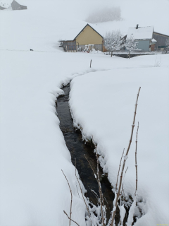 2024-01-09-SAC-Hundwilerhoehe-53