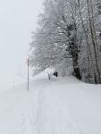 2024-01-09-SAC-Hundwilerhoehe-07