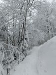 2024-01-09-SAC-Hundwilerhoehe-25
