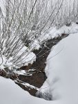 2024-01-09-SAC-Hundwilerhoehe-52