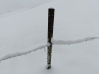 IMG20240109110934
