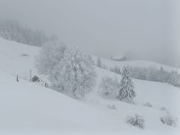 IMG20240109113921