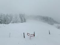 IMG20240109113928