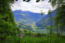 2024-05-20-Seewis-Narzissen-und-Blumen-R6II3024_bearbeitet-1