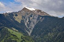 2024-05-20-Seewis-Narzissen-und-Blumen-R6II3143_bearbeitet-1