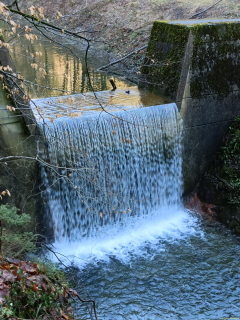 IMG20240319094256