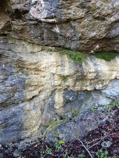 IMG20240319094438