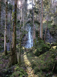 IMG20240319105002