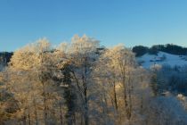 2024-12-31-SAC-RS-Chastenloch-02_bearbeitet-1