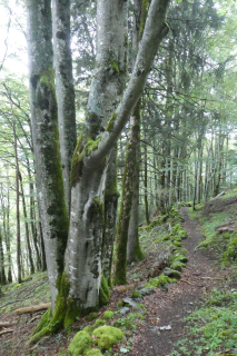 2024-08-07-SAC-RS-Fronalpstock-28