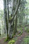 2024-08-07-SAC-RS-Fronalpstock-28