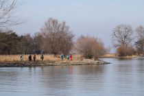 2024-01-16-SAC-Gaissauer-Riet-R6II1002