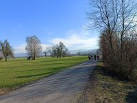 IMG20240116135448