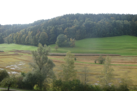 2024-10-08-SAC-RS-Giessen-Altb-07