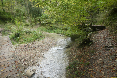 2024-10-08-SAC-RS-Giessen-Altb-22
