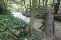 2024-10-08-SAC-RS-Giessen-Altb-34