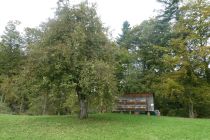2024-10-08-SAC-RS-Giessen-Altb-55