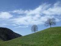 2024-04-30-SAC-RS-Hochhamm-23