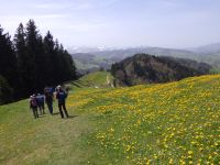 2024-04-30-SAC-RS-Hochhamm-54