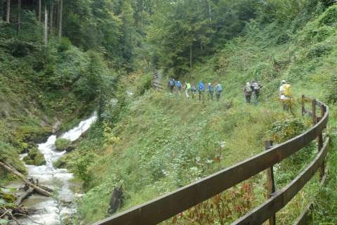 2024-09-17-SAC-RS-RebenBerneck-034
