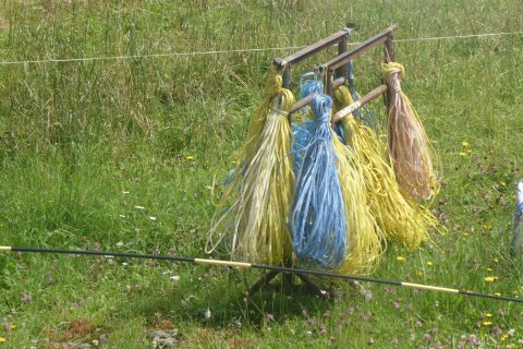 2024-07-23-SAC-RS-Selun-82-1