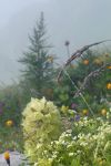 2024-07-23-SAC-RS-Selun-52-1_bearbeitet-1