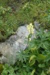 2024-07-23-SAC-RS-Selun-79-1
