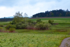 2024 SAC RS Tobel Bronschhofen