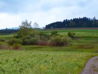 2024-04-23-SAC-RS-TobelBronsch-10_bearbeitet-1
