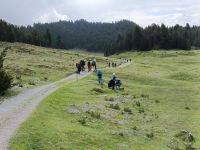 IMG20240625093231