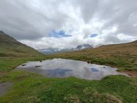 IMG20240625105237