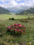 IMG20240625113555