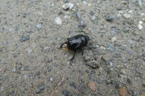 P1220833