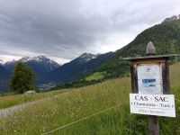 IMG20240627094437