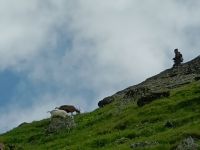 IMG20240627105331