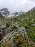 IMG20240627111452