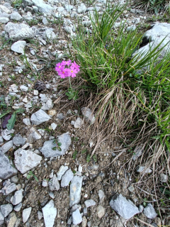 IMG20240626101505