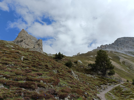 IMG20240626102459