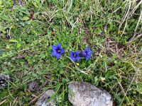 IMG20240626101526
