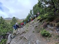 IMG20240626120126