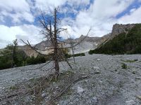 IMG20240626122751