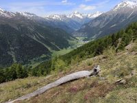 IMG20240618132211