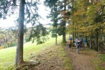 2024-10-15-SAC-RS-Tweranalpspi-025_bearbeitet-1