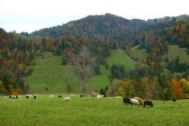 2024-10-15-SAC-RS-Tweranalpspi-027_bearbeitet-1