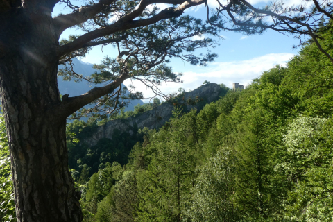 2025-05-17-SAC-RS-Seiltag-Burg-01