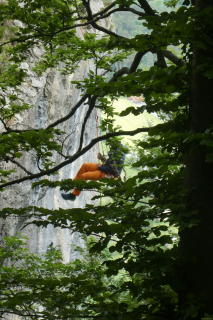 2025-05-17-SAC-RS-Seiltag-Burg-15