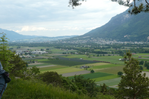 2025-05-17-SAC-RS-Seiltag-Burg-30